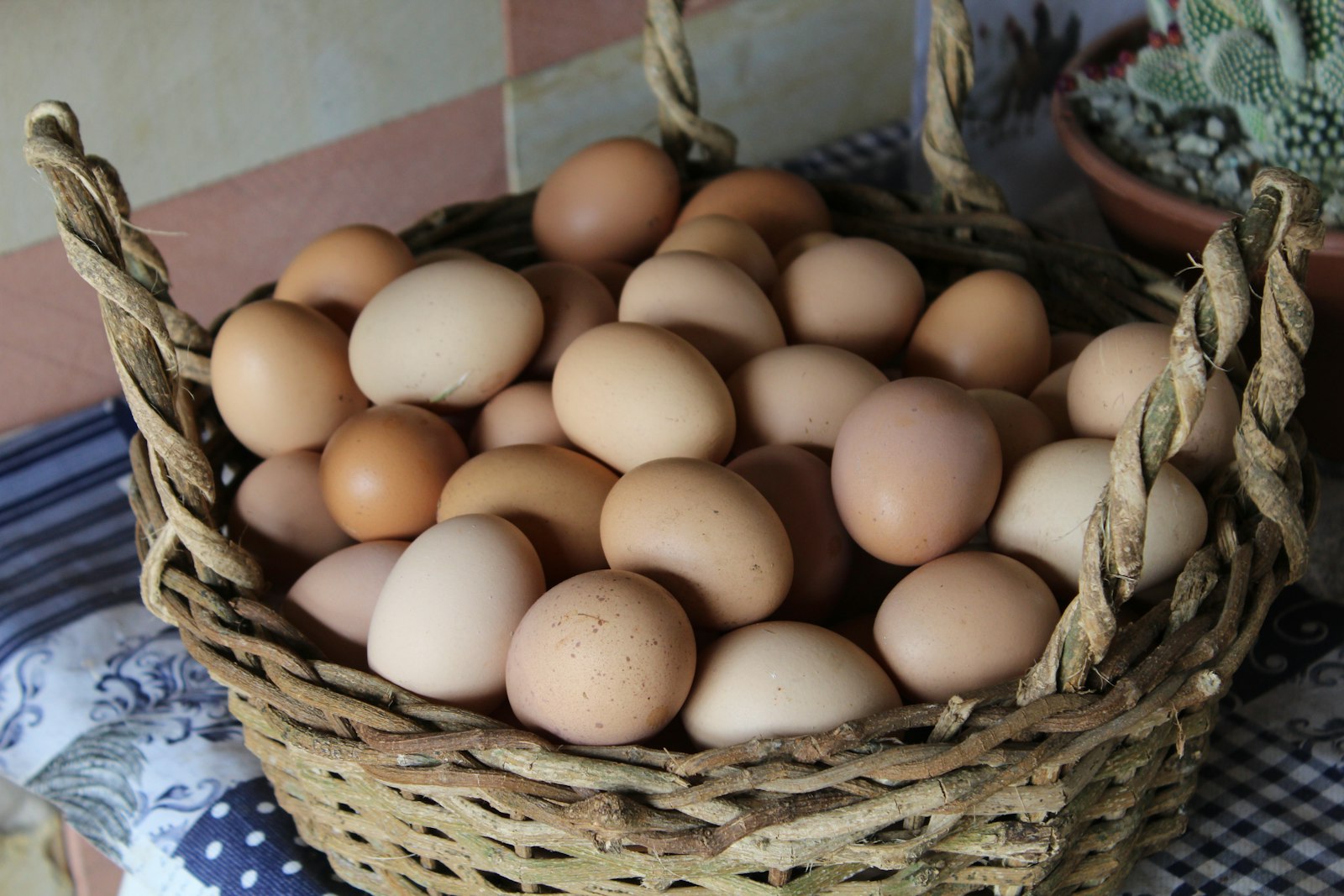 Frische Eier in einem Korb
